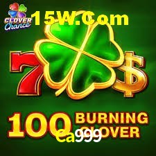 Bonus Features Ca999