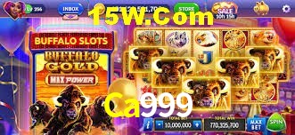 Experiência VIP Ca999